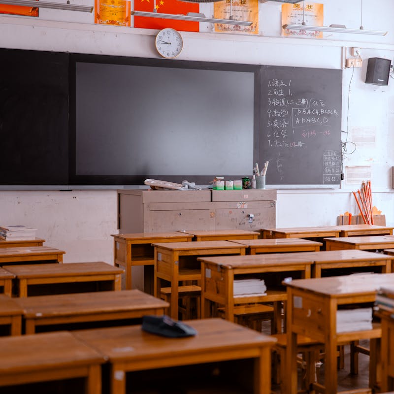 pexels-photo-36159720-1